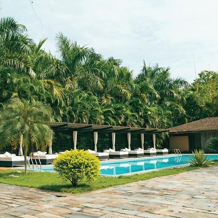Kasara Chitwan Otel Patlahara Dış mekan fotoğraf