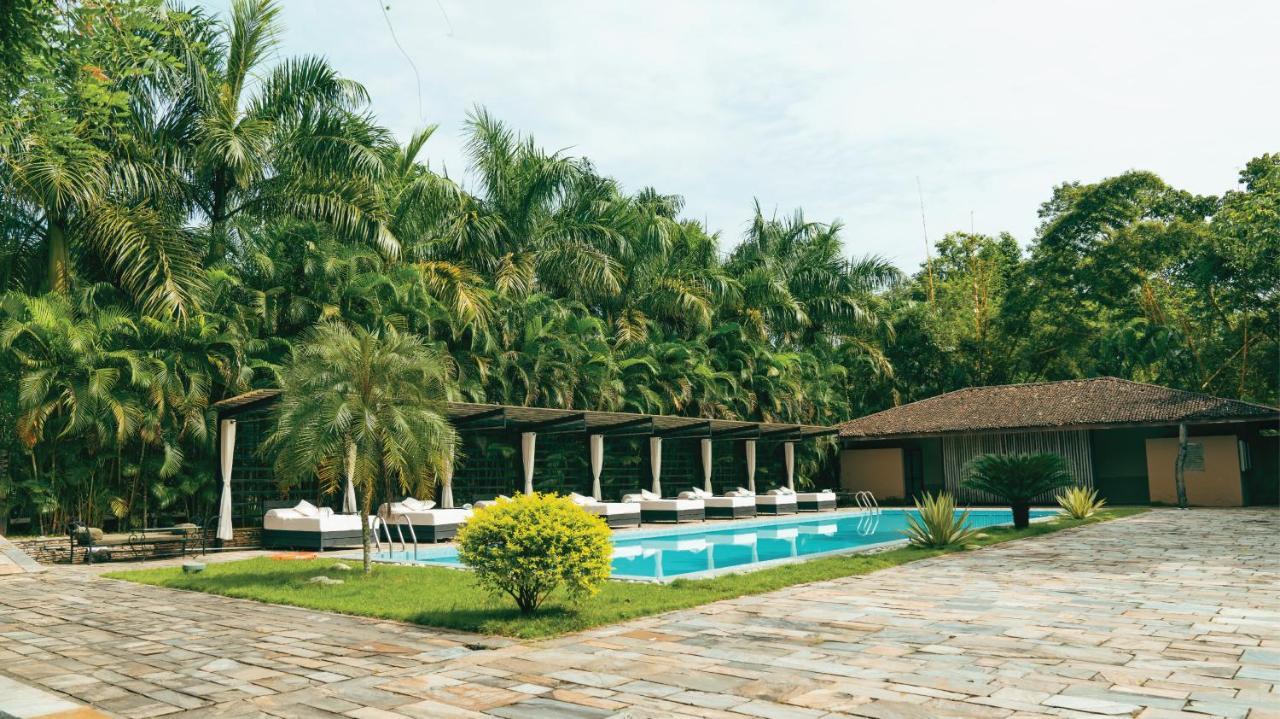 Kasara Chitwan Otel Patlahara Dış mekan fotoğraf